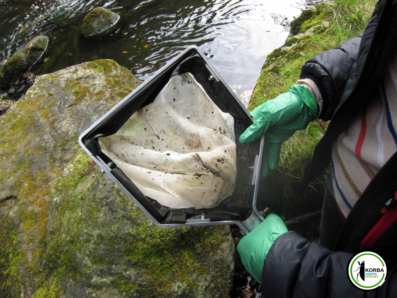 Sampling Aquatic Invertebrates with a net